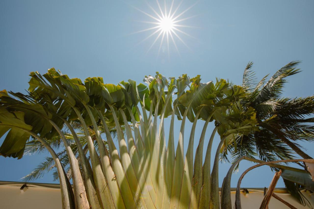 The Vibe House - Chillout Hostel Phu Quoc Bagian luar foto